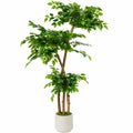 Künstlicher Ficus Baum 180cm Grün mit Weißem Topf