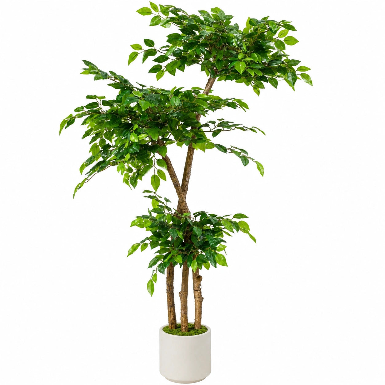 Künstlicher Ficus Baum 180cm Grün mit Weißem Topf