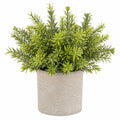 Künstliche Pflanze im Topf Grün Dekoration, 20 cm