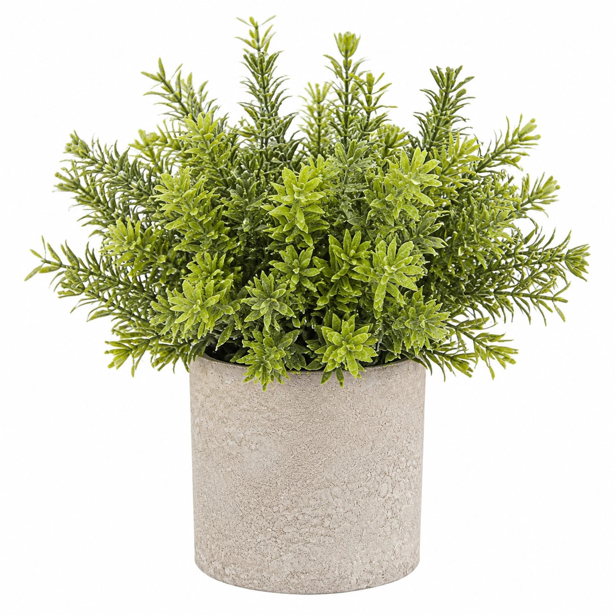 Künstliche Pflanze im Topf Grün Dekoration, 20 cm
